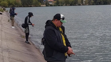 Клевать  так клевать! Крупные соревнования по спортивной рыбалке прошли в Воронеже