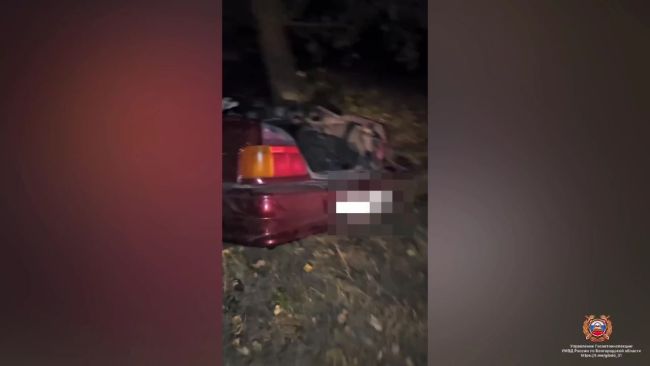 Молодой водитель погиб, врезавшись в дерево под Белгородом