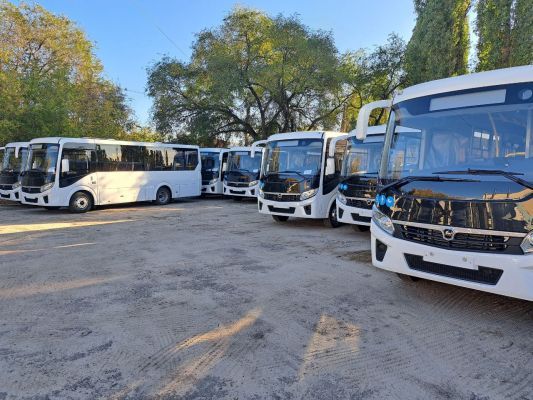 20 новых автобусов получит популярный воронежский маршрут