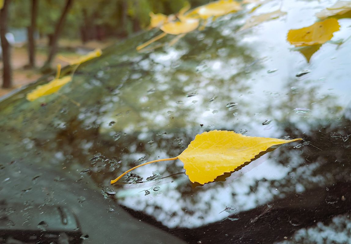 Прогноз погоды в Воронеже на среду, 1 октября&nbsp;