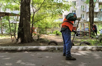 Октябрь в чистоте: расписание средников и субботников в Воронеже