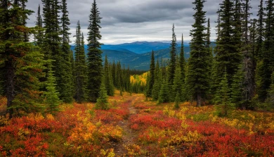 Семья с ребёнком отправилась в поход и бесследно пропала 