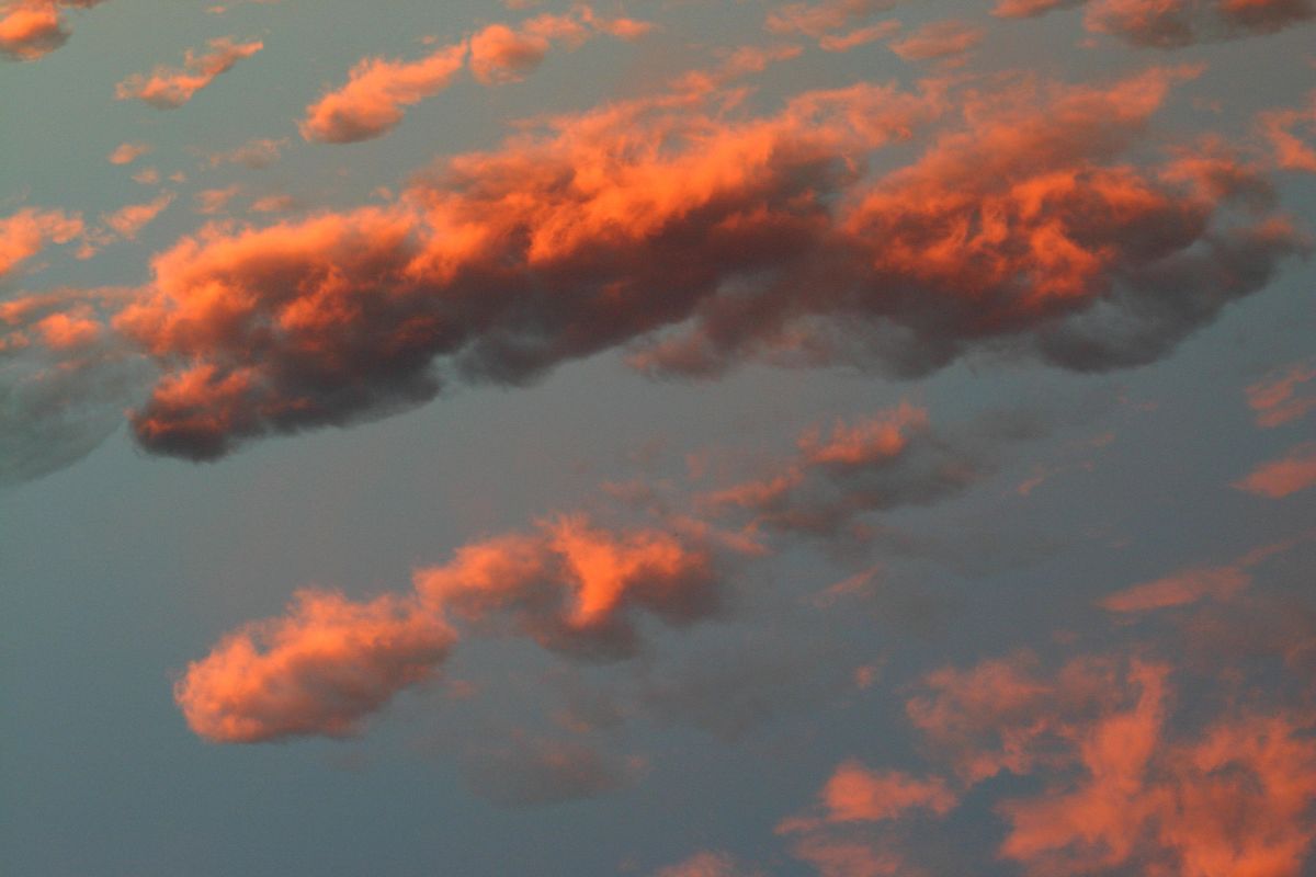 «Грядёт перестройка». О погодном сюрпризе предупредил воронежцев синоптик Шувалов