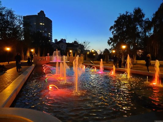 День грибника в Тамбове выдастся облачным