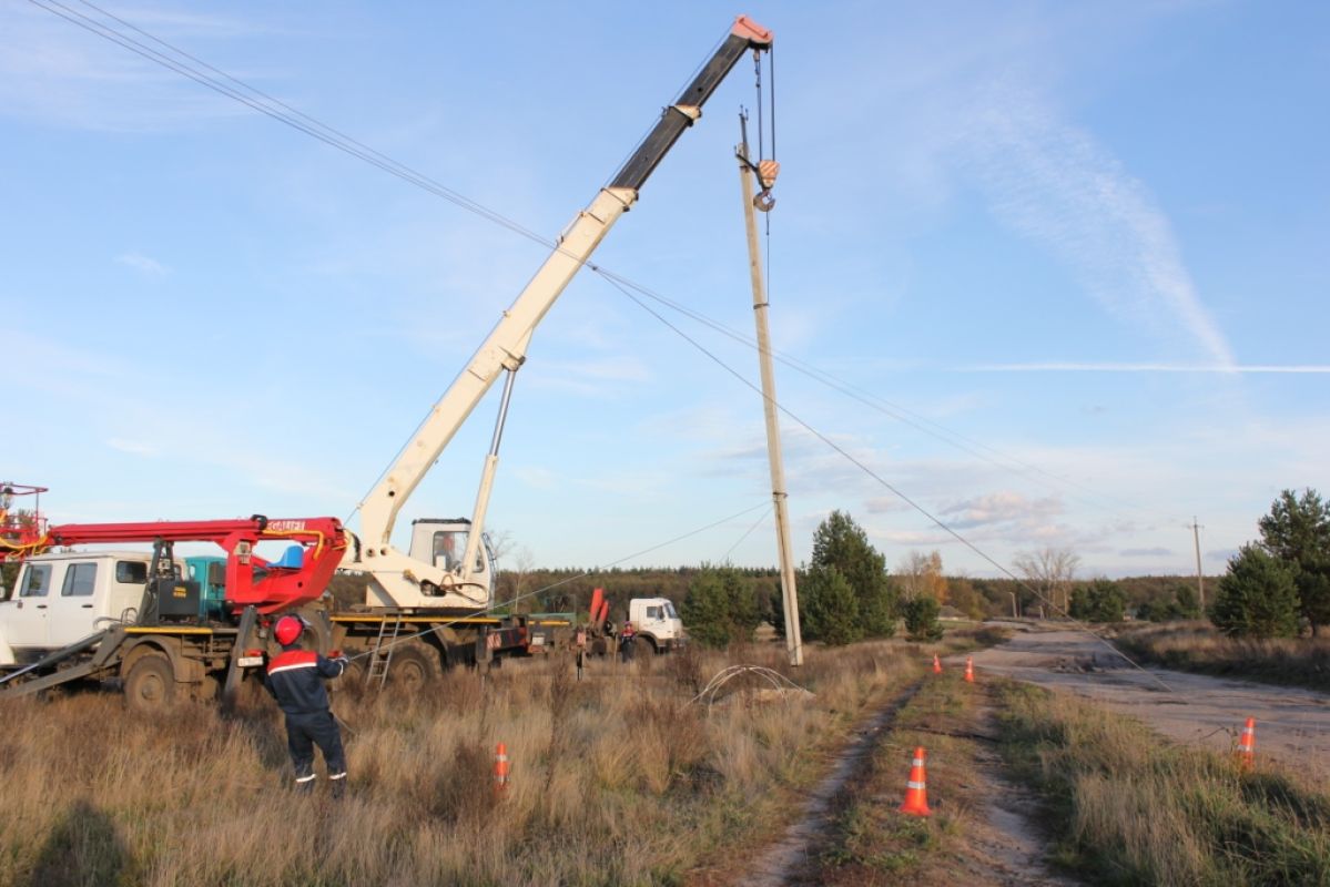 С начала года специалисты «Россети Центр» зафиксировали более 50 случаев повреждения ЛЭП в&nbsp;Воронежской области