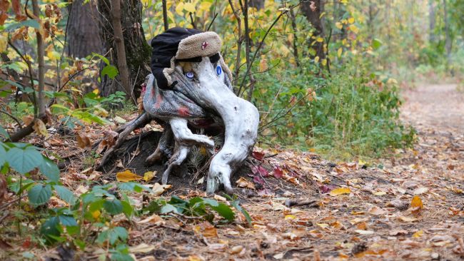 Как в воронежском парке завёлся слоник