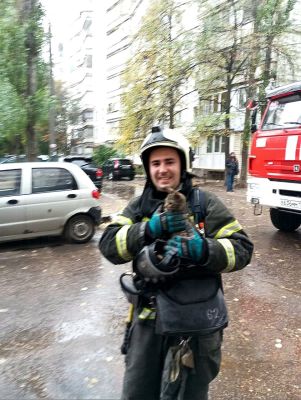 Четырёх человек и кота эвакуировали из горящей многоэтажки в Воронеже