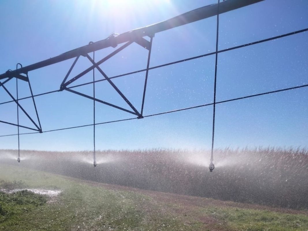 Урожайность на полях в Мордовском округе повышают с помощью систем мелиорации