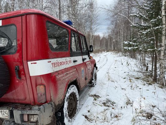 Главное за ночь. Названа главная версия исчезновения семьи в тайге под Красноярском