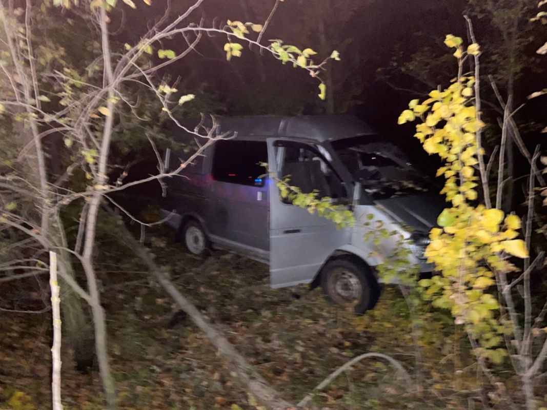 Смертельное ДТП с фургоном произошло на воронежской трассе