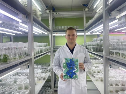 Сорт жимолости  «Абхазия» представили в мичуринском  «Агропищепроме»