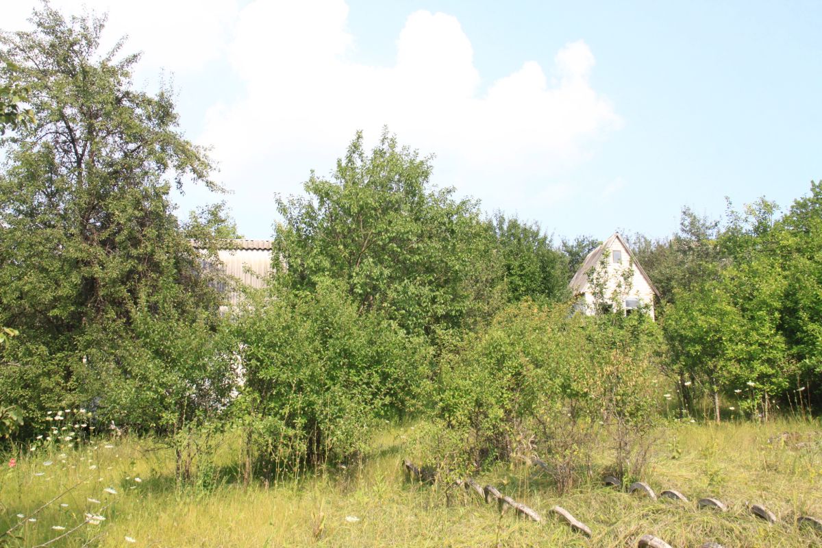 Сотням владельцев участков в Воронежской области грозит изъятие земли