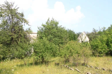 Сотням владельцев участков в Воронежской области грозит изъятие земли