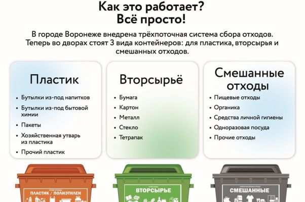 Воронеж шаг за шагом становится всё более экологичным городом 