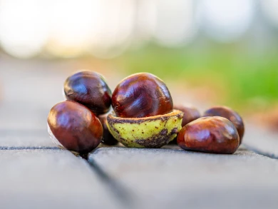 Прогноз погоды в Воронеже на четверг, 9 октября