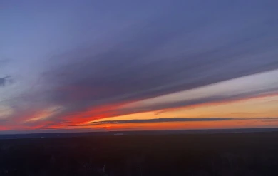 Украинские БПЛА надвигаются на Воронежскую область