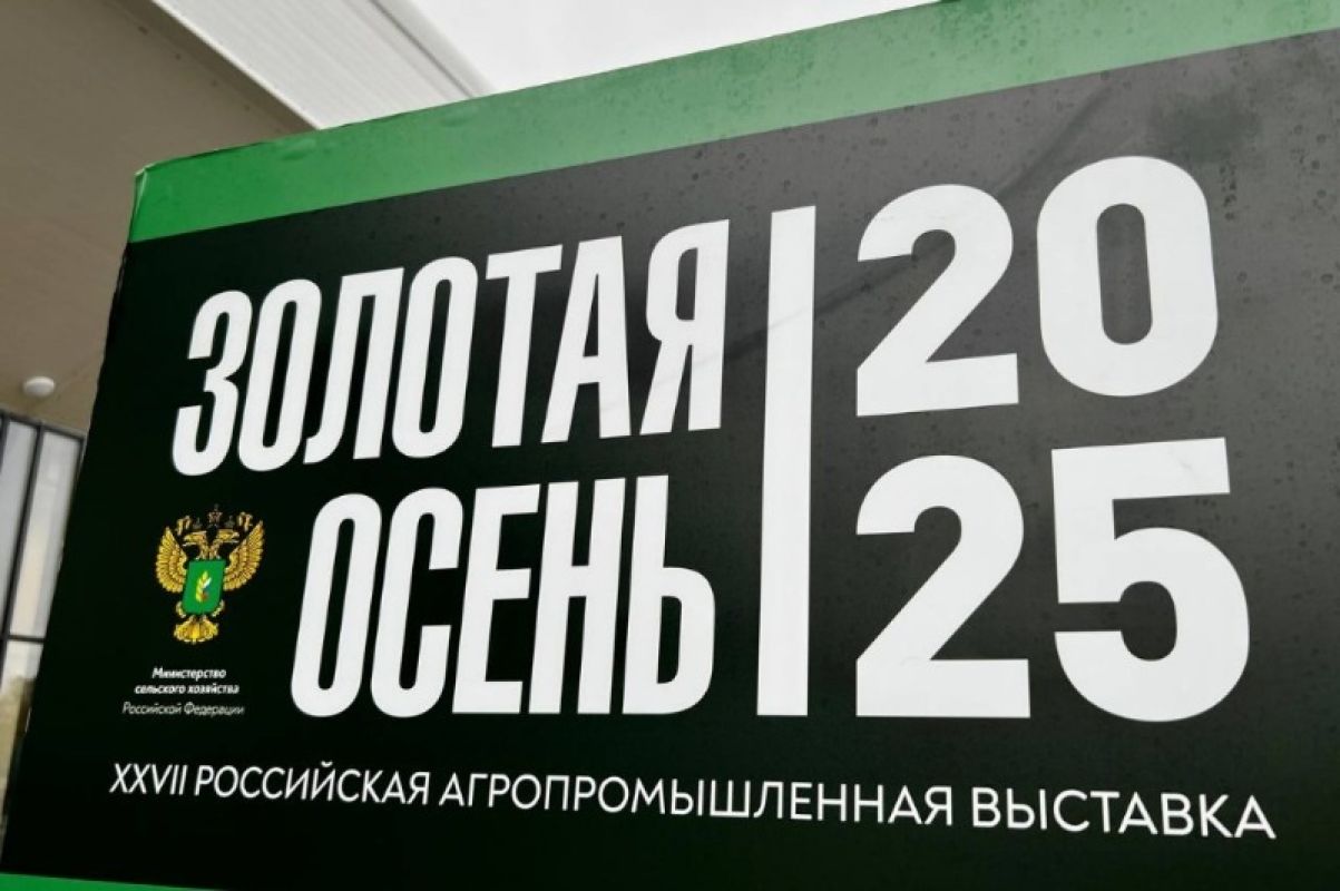 В Тамбовской области появится железнодорожный зерновой хаб