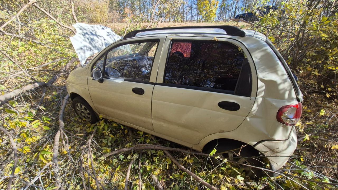Два человека попали в&nbsp;больницу после аварии с&nbsp;деревом на&nbsp;воронежской трассе