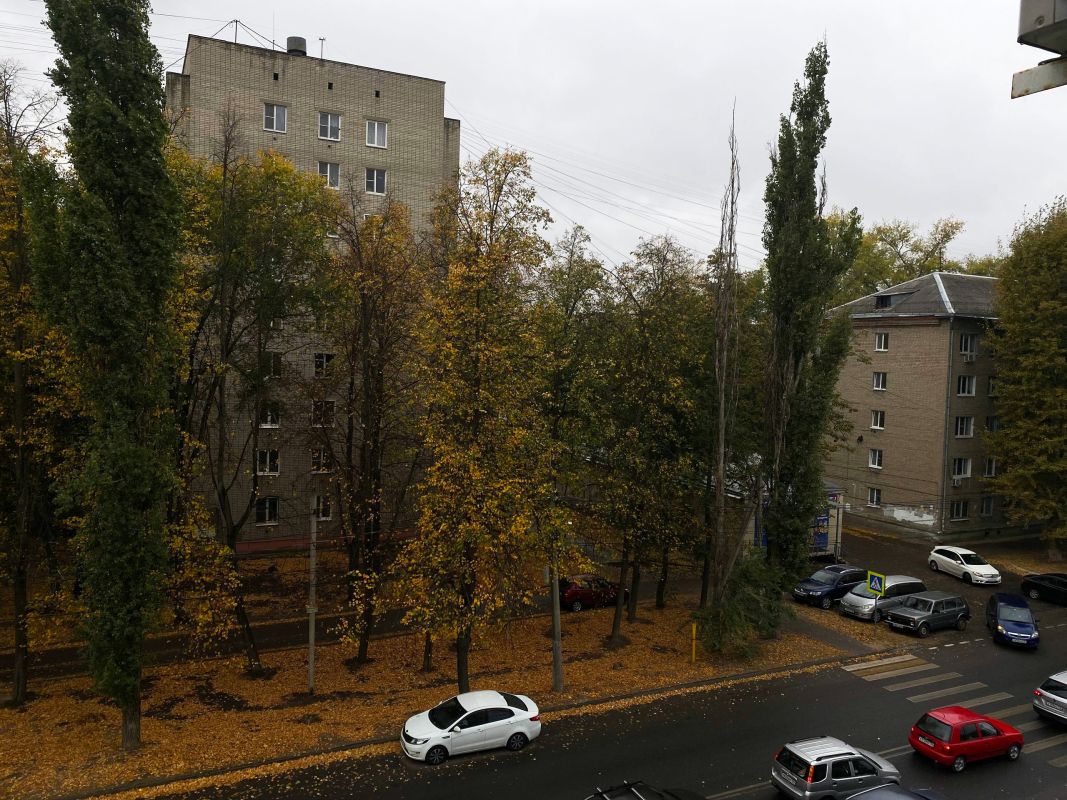 Ночная атака БПЛА и&nbsp;опасность в&nbsp;парке. Главные новости Воронежа и&nbsp;области за&nbsp;9 октября