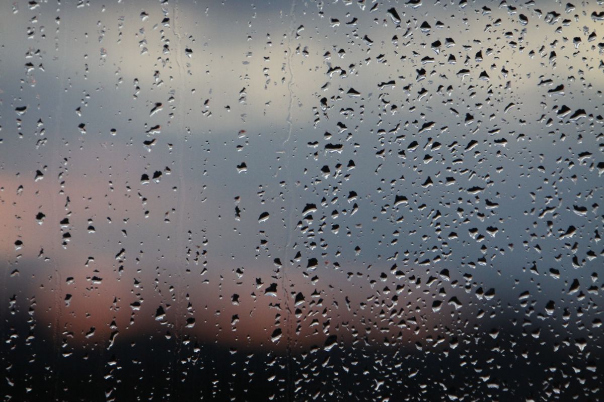 Затяжные дожди обрушатся на&nbsp;Воронеж в&nbsp;выходные