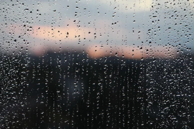 Когда в Воронеже закончатся дожди