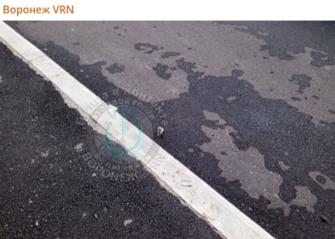 Воронежцы сообщили о массовом отстреле птиц