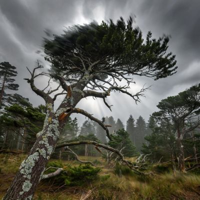 В Белгороде в Международный день по снижению риска бедствий порывы ветра будут до 18 м/с