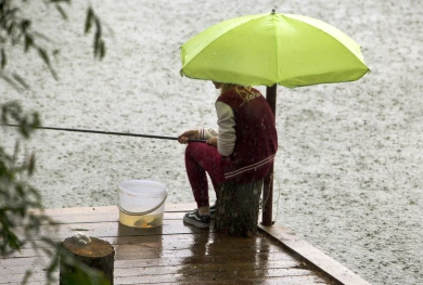 Снова дождь. Какая погода будет в Воронеже на рабочей неделе