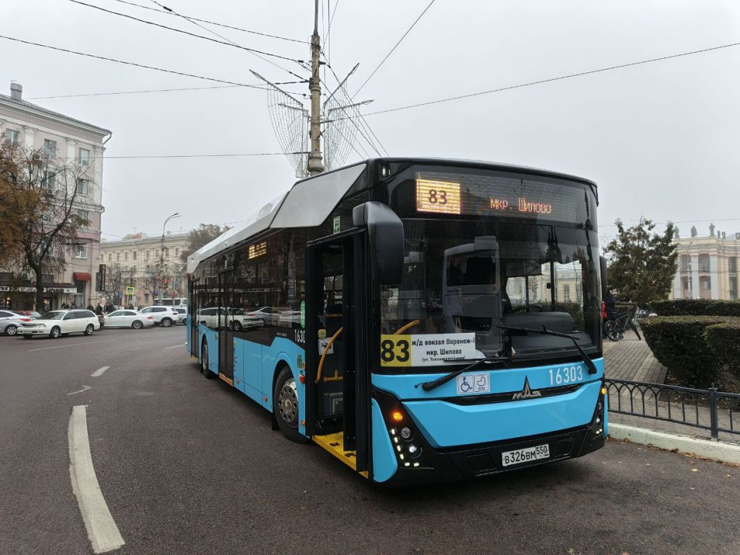 Новый электробус не вышел на линию в Воронеже