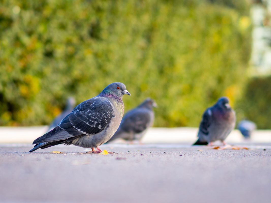 Прогноз погоды в&nbsp;Воронеже на&nbsp;среду, 15 октября
