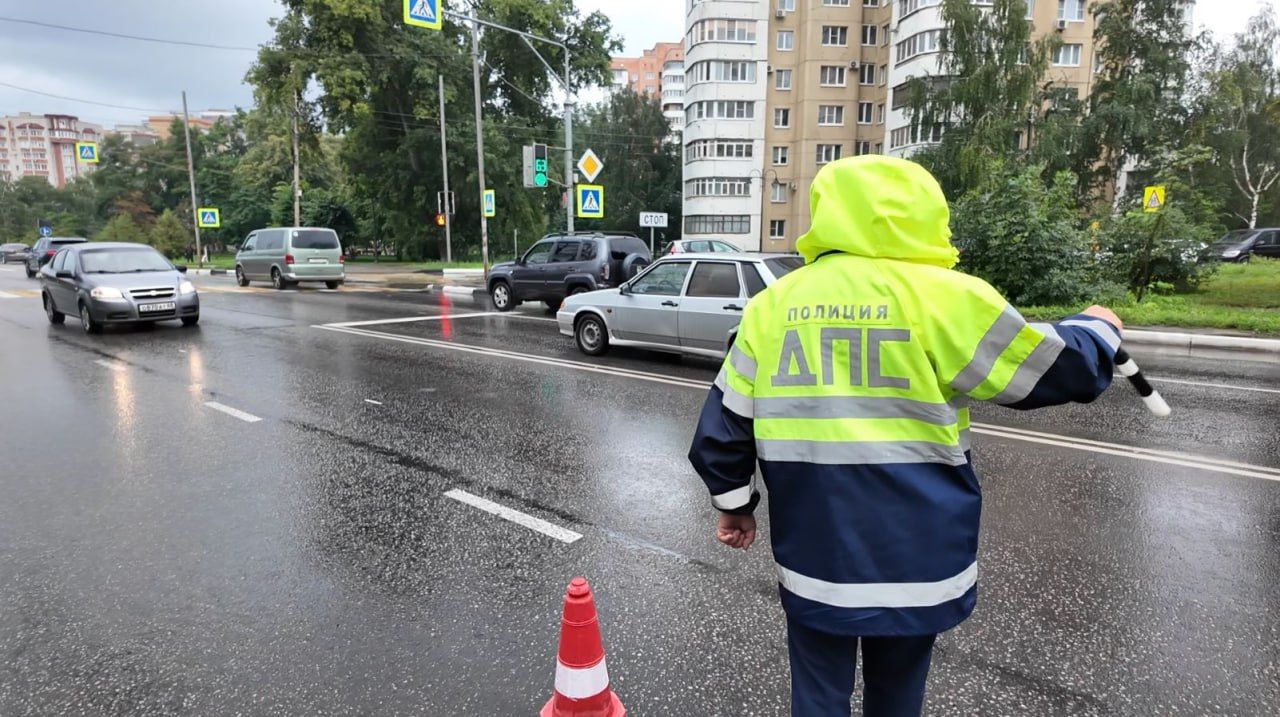 Нетрезвых водителей будут ловить на тамбовских дорогах