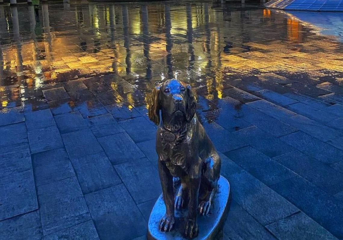 Подсветка появится у&nbsp;одного из&nbsp;символов Воронежа