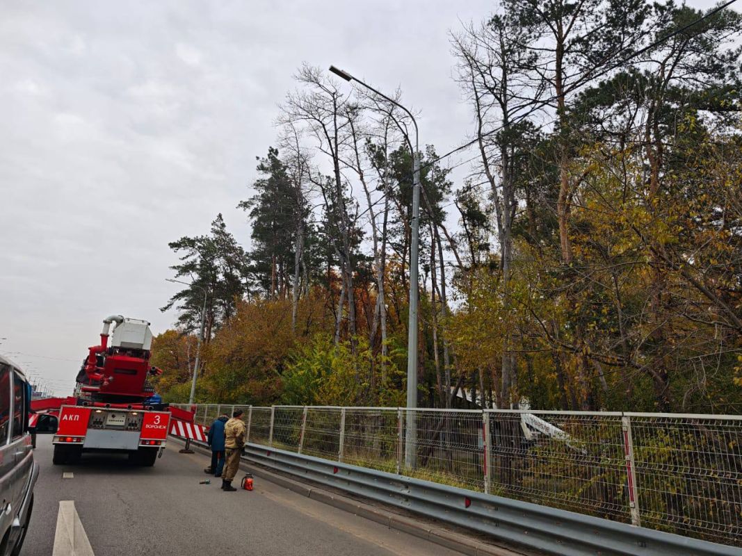 О трудностях с&nbsp;проездом у&nbsp;популярного парка предупредили воронежцев