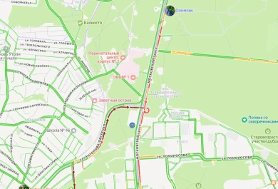 Огромная пробка сковала Московский проспект из-за обрезки деревьев