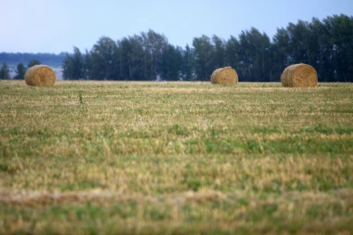 Прогноз погоды в Воронеже на воскресенье, 19 октября