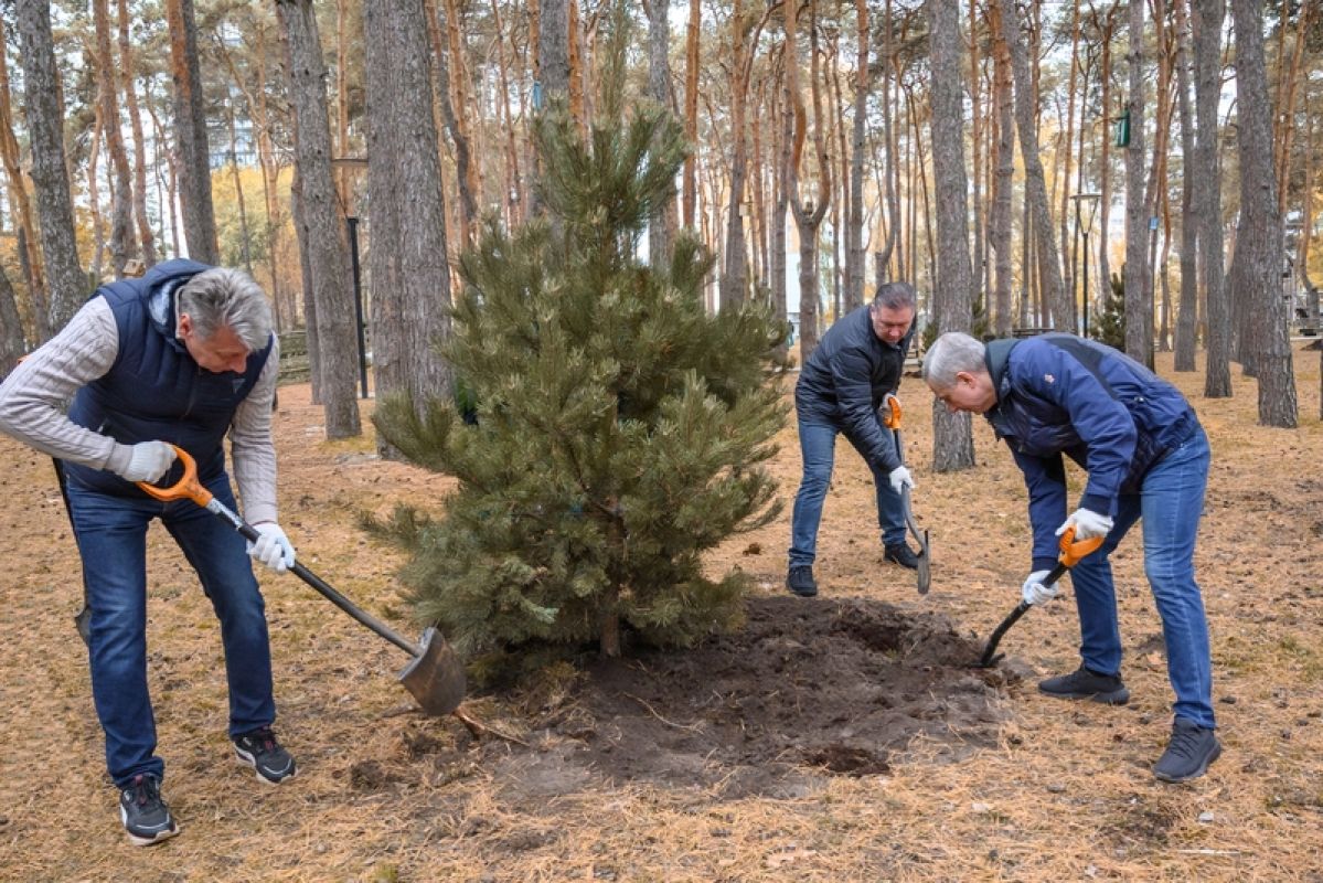 Особый субботник в&nbsp;воронежском парке объединил представителей разных профессий