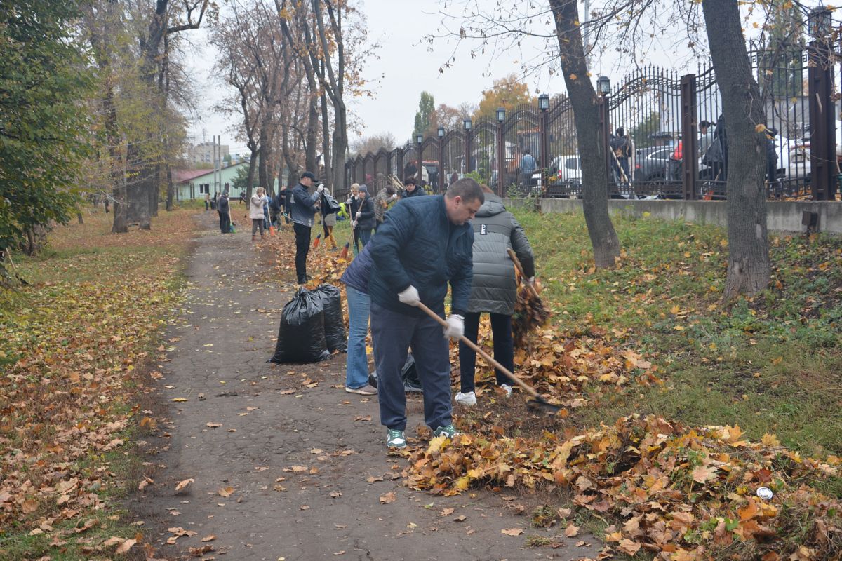 Воронежская городская Дума привела в&nbsp;порядок Бринкманский сад &nbsp;
