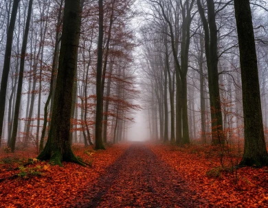 Опасное погодное явление накроет Воронежскую область