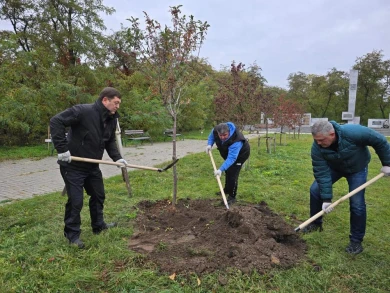 Команда депутатов ДСК приняла активное участие в осеннем благоустройстве Воронежа 