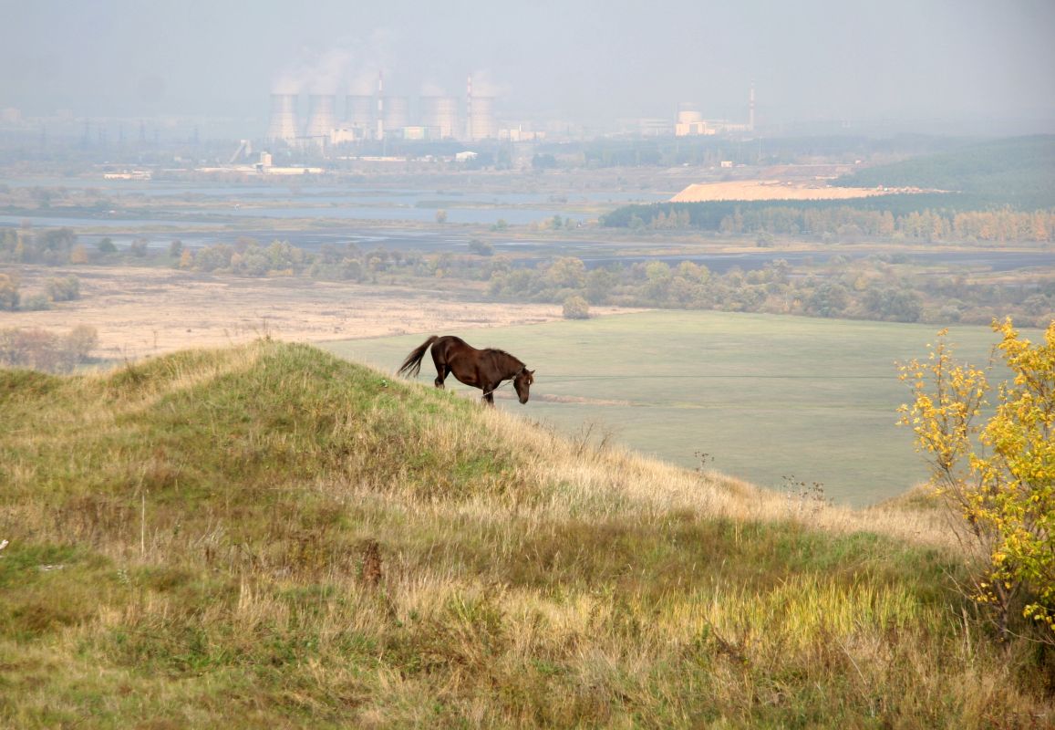 Прогноз погоды в&nbsp;Воронеже на&nbsp;среду, 22 октября