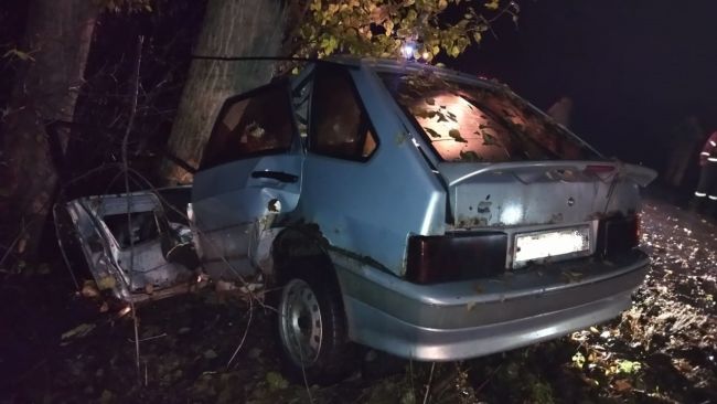 Водитель ВАЗа врезался в дерево и погиб на воронежской трассе