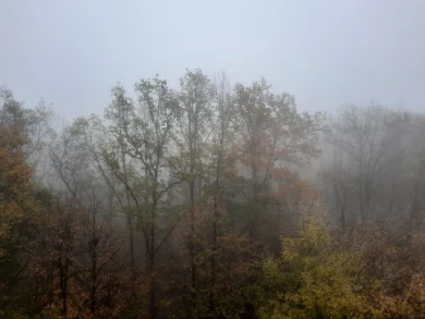 Густой туман накрыл Воронеж