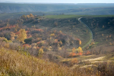 Прогноз погоды в Воронеже на субботу, 25 октября