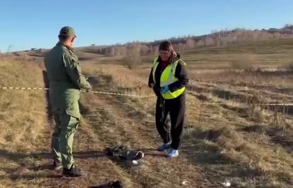 Собаки растерзали 10-летнего ребёнка