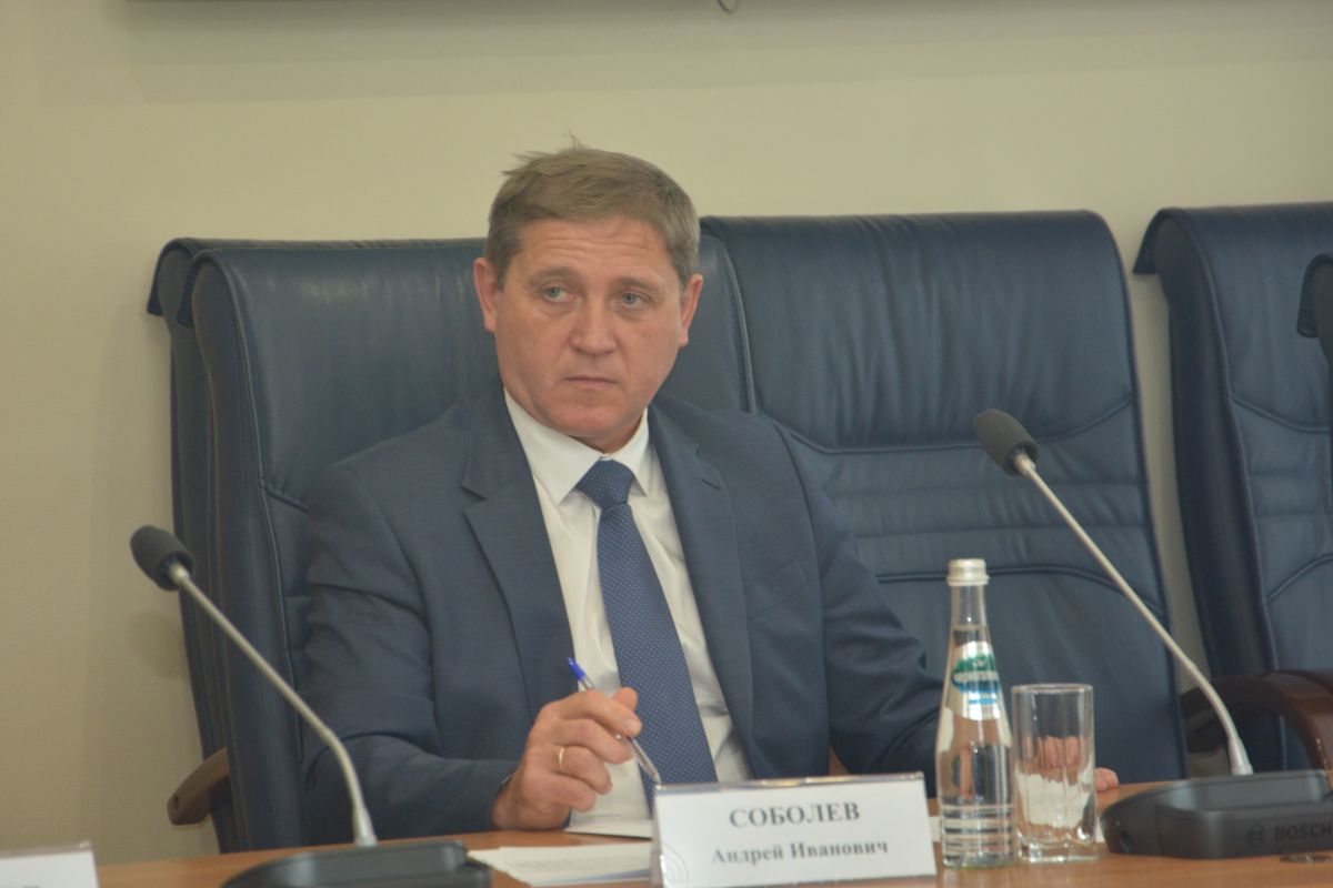 Воронежские депутаты предложили создать городскую программу внутреннего туризма