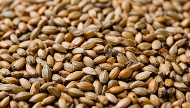 Запретные семена продавали в Воронежской области