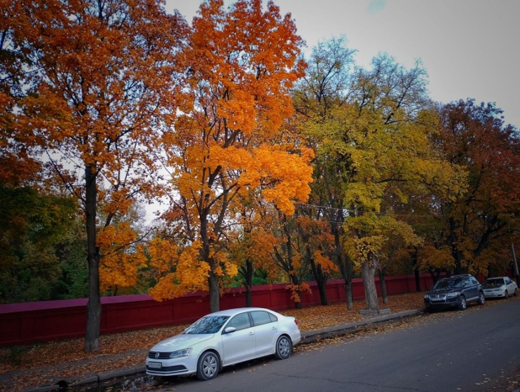 В День рождения комсомола в Тамбове будет тепло и облачно
