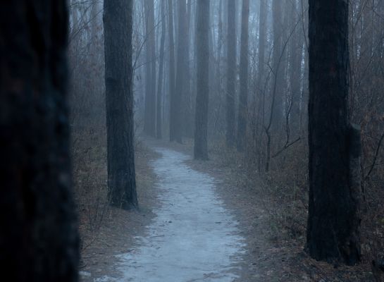 Пропавшего в Воронежской области мужчину нашли погибшим
