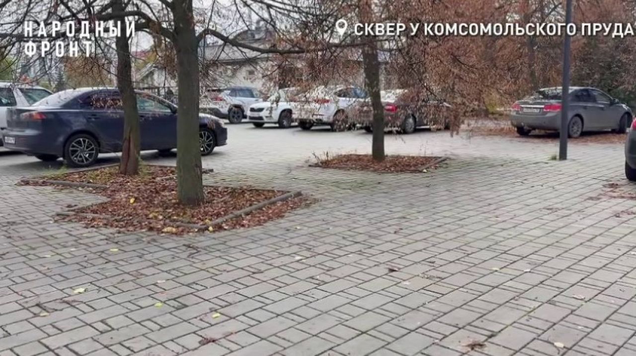 Автомобилисты против пешеходов: в Липецке обострилась борьба за городское пространство