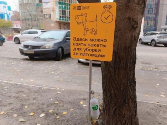 В Курске появился первый пункт выдачи пакетов для уборки за собаками